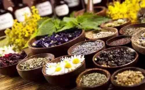 Descubra como a homeopatia pode ajudar no tratamento de doenças físicas
