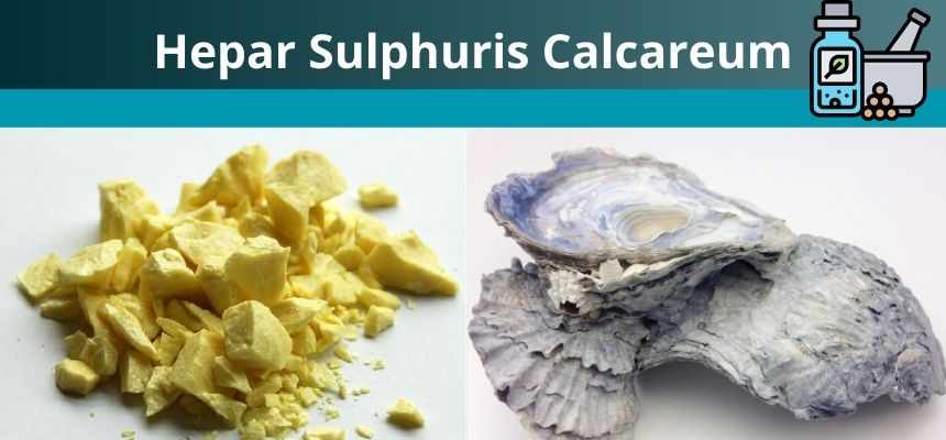 Hepar Sulphuris Calcareum e suas Aplicações Terapêuticas