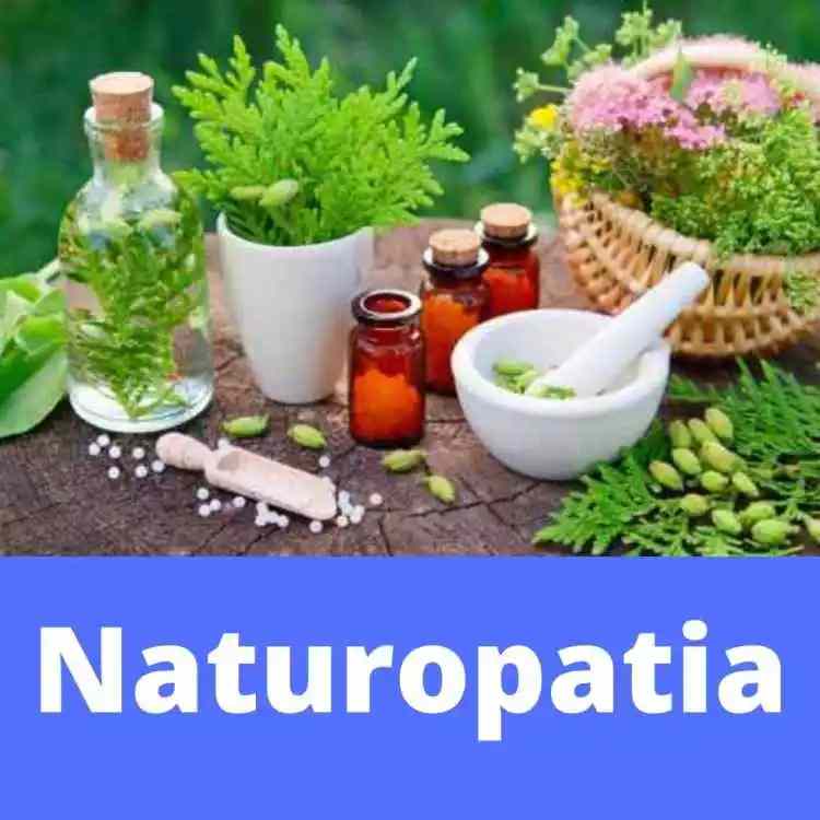 Curso de Naturopatia Avançado