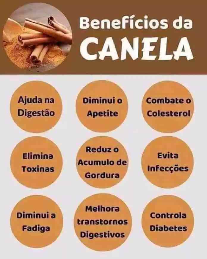 Benefícios da Canela [Fitoterapia e Saúde pelas Plantas]