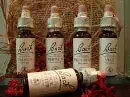 Curso de Naturopatia Online Gratuito Florais de Bach