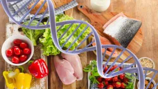 Nutrigenética: Dieta Específica Através do Grupo Sanguíneo