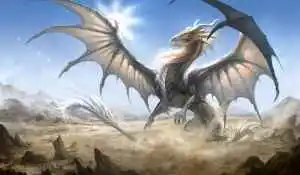 dragao