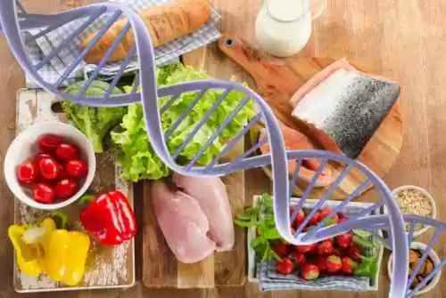 Nutrigenética: Dieta Específica Através do Grupo Sanguíneo