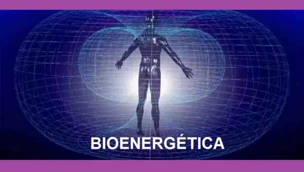 Bioenergética