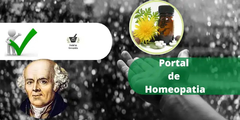 portal de homeopatia 2024