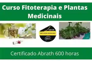 Curso Fitoterapia e Plantas Medicinais