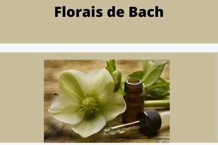 Curso de Naturopatia Online Gratuito Florais de Bach