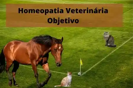 Objetivo da Homeopatia Veterinária