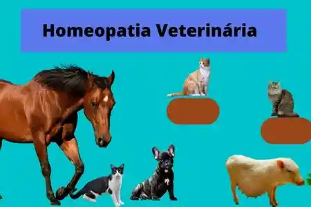 Homeopatia Veterinária