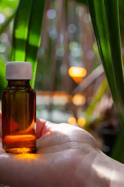 varios beneficios da aromaterapia