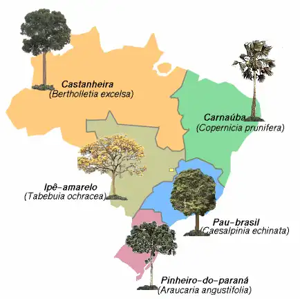 regioes brasil e plantas