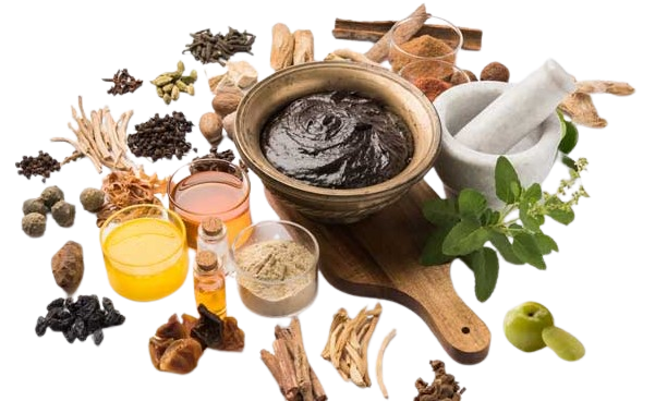 ayurveda removebg preview