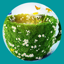 potencial energetico das plantas