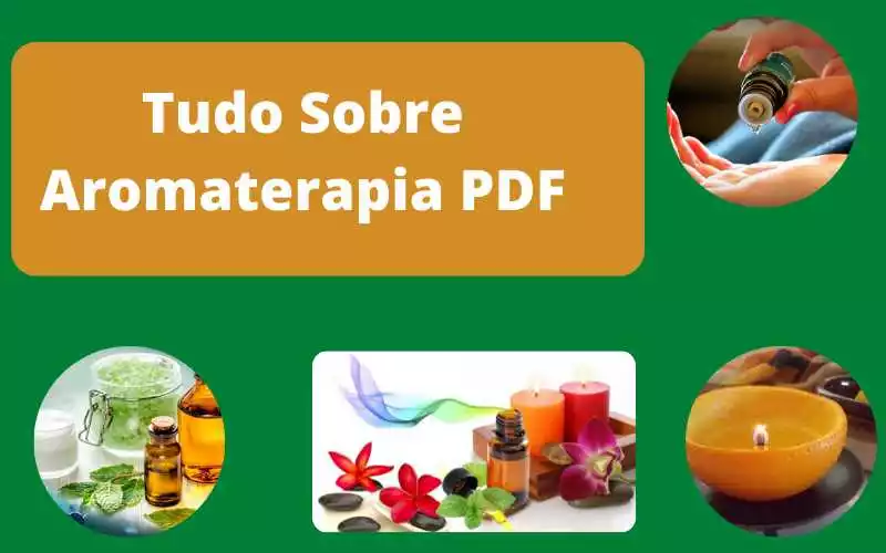 Tudo Sobre Aromaterapia PDF | Livro Digital de Aromaterapia