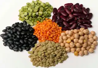 6 fontes de proteína na dieta vegetariana