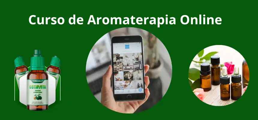 Cursos de Aromaterapia Online | Óleos Essenciais