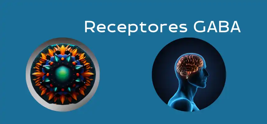 Receptores