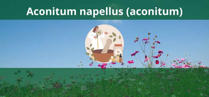Aconitum napellus (aconitum) - Homeopatia ansiedade e febre