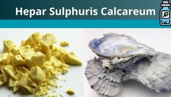 Hepar Sulphuris Calcareum para que serve?