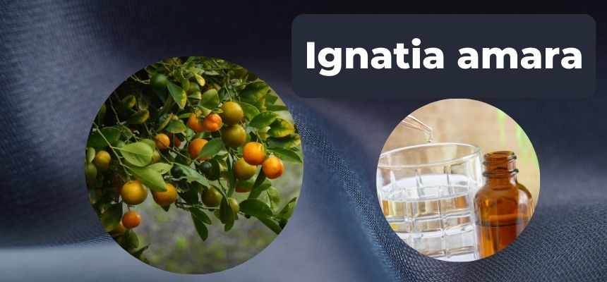 Ignatia amara: Para que serve e benefícios - Emagrece?