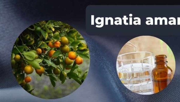 Ignatia amara: Para que serve e benefícios - Emagrece?