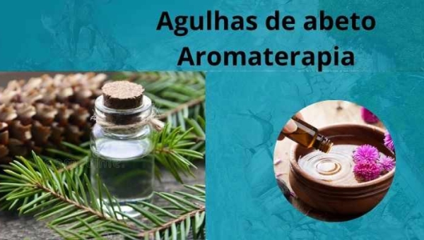 Agulhas de abeto - Aromaterapia - Para que serve