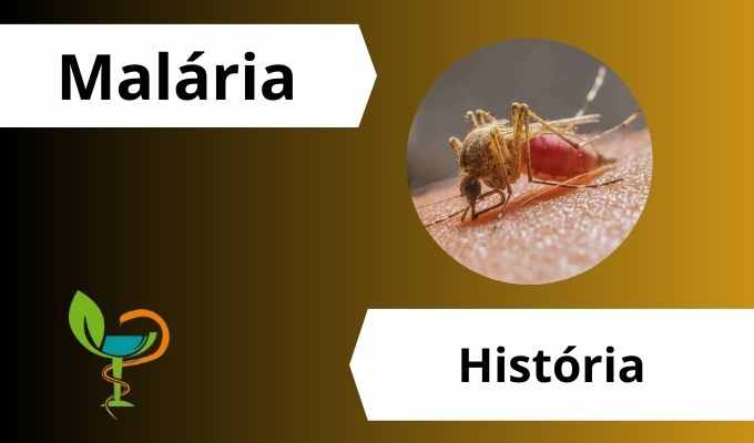 Malária: da Transmissão, Sintomas, Prevenção e Tratamento 