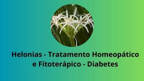 Helonias - Tratamento Homeopático e Fitoterápico - Diabetes