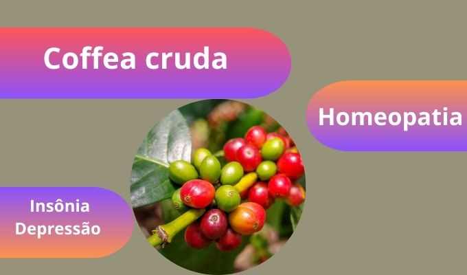 Coffea cruda: Para que Serve?