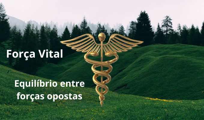 Força Vital e Homeopatia: A Conexão Invisível para a Cura