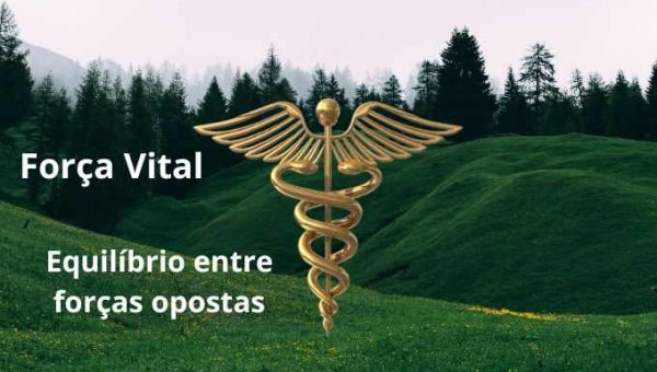 Força Vital e Homeopatia: A Conexão Invisível para a Cura