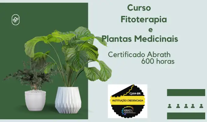 Curso Terapeuta em Fitoterapia e Plantas Medicinais