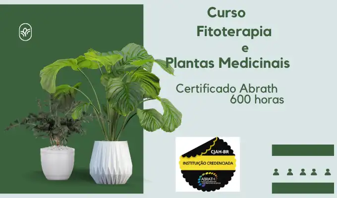 curso fitoterapia e plantas medicinais