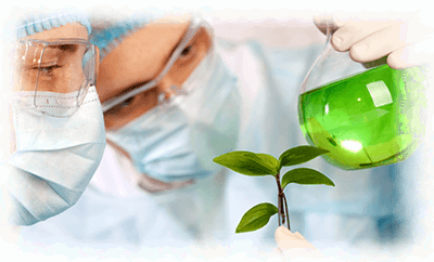 a cura verde medicina tradicional