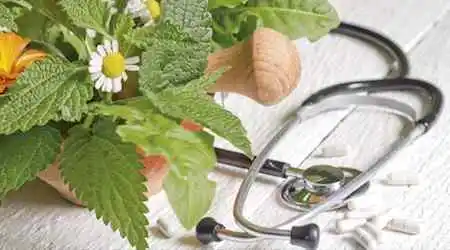 especializacao em fitoterapia e plantas medicinais