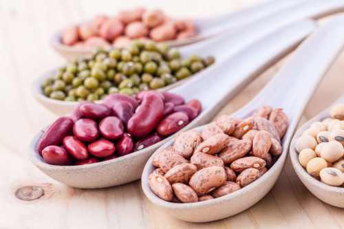 proteínas vegetais 6 tipos